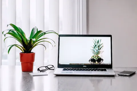 Ordinateur portable et plante sur un bureau lumineux